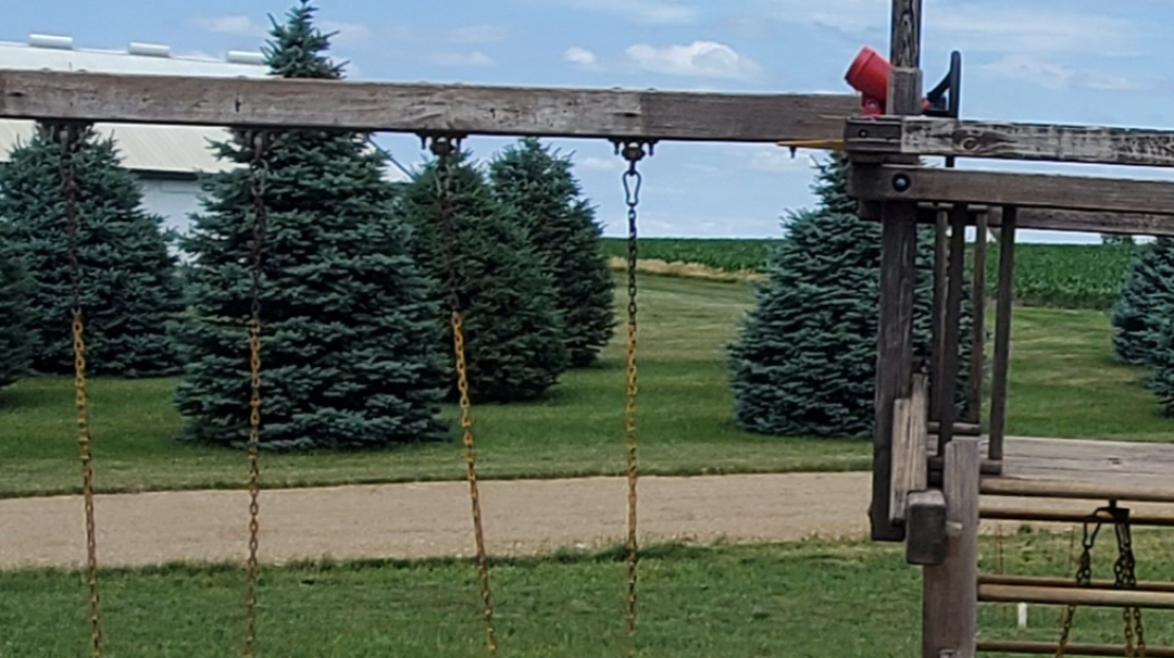 Never Stain Your Swing Set Again