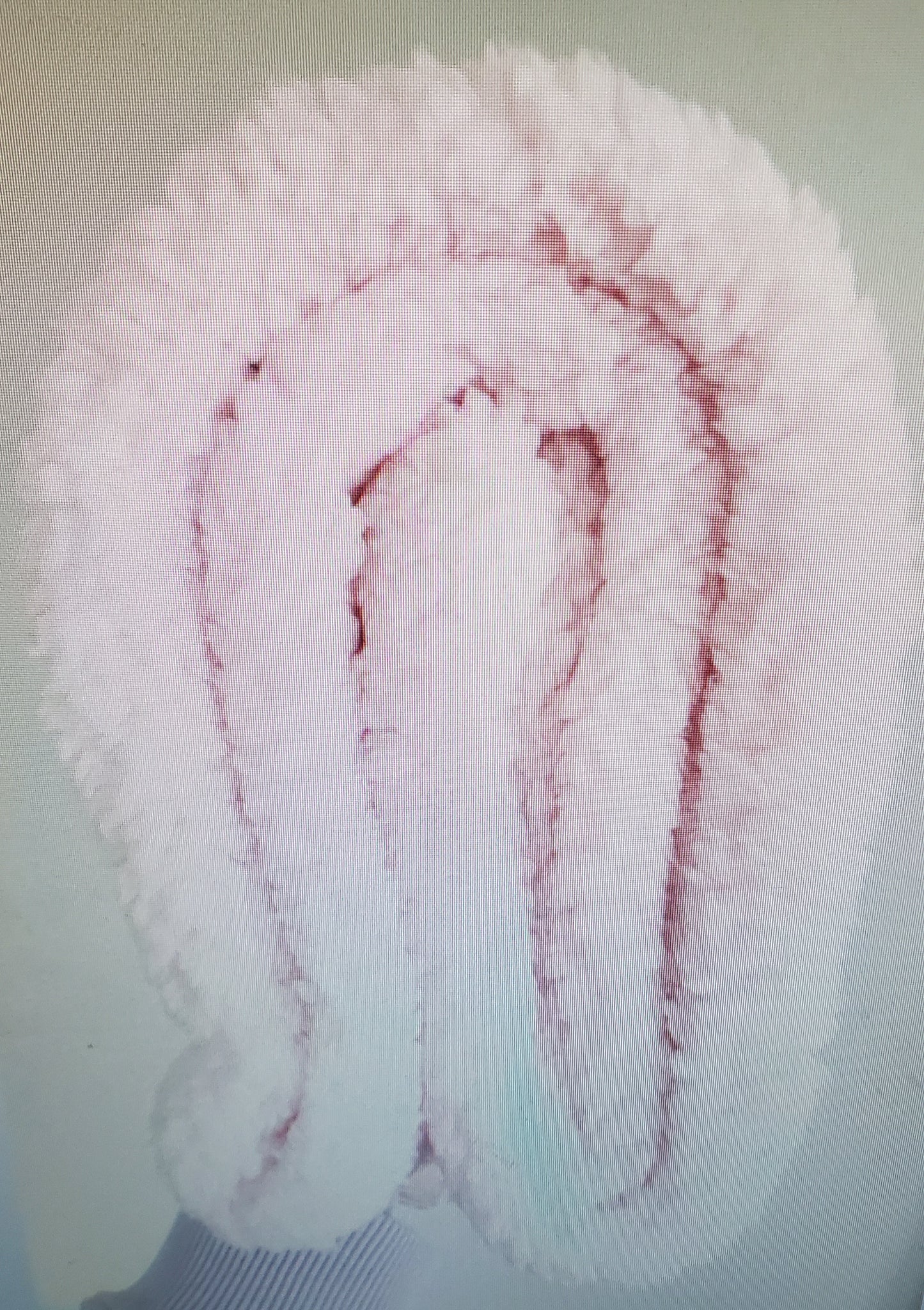 Heatless Curlers
